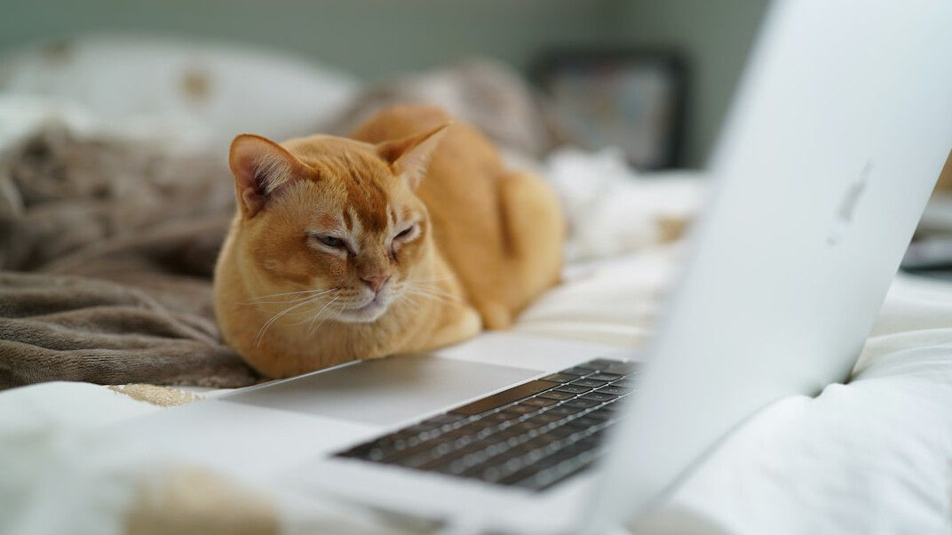 Writer drafting a sponsored content article on a laptop